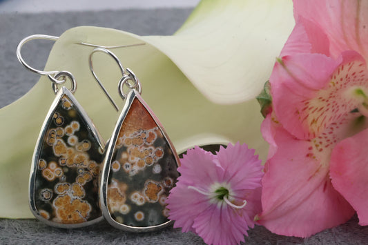 Ocean Jasper Earrings